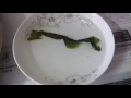 Cùng ngắm giai đoạn