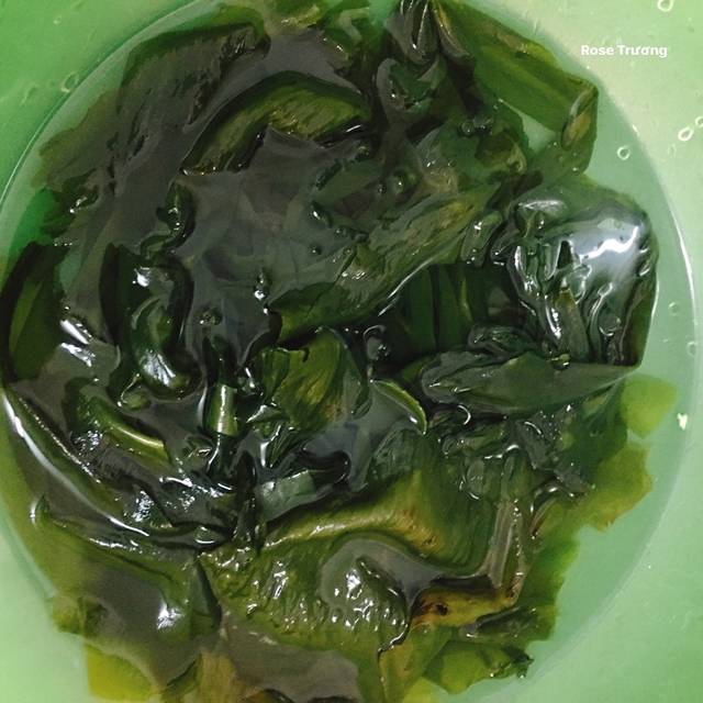 NHỮNG LỢI ÍCH KỲ DIỆU CỦA RONG BIỂN