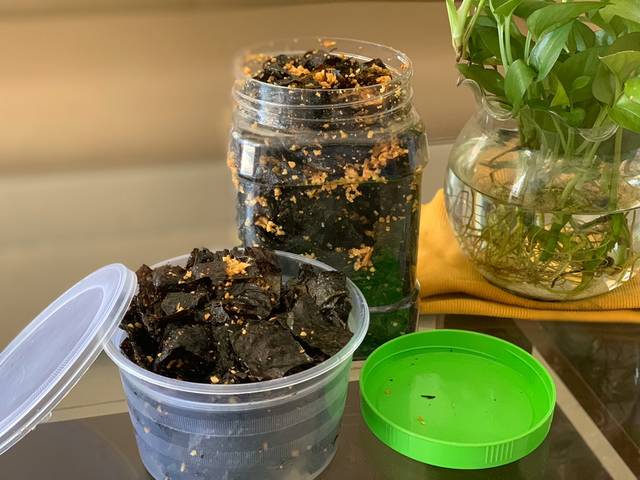 Rong Biển Cháy Tỏi - Green Seaweed